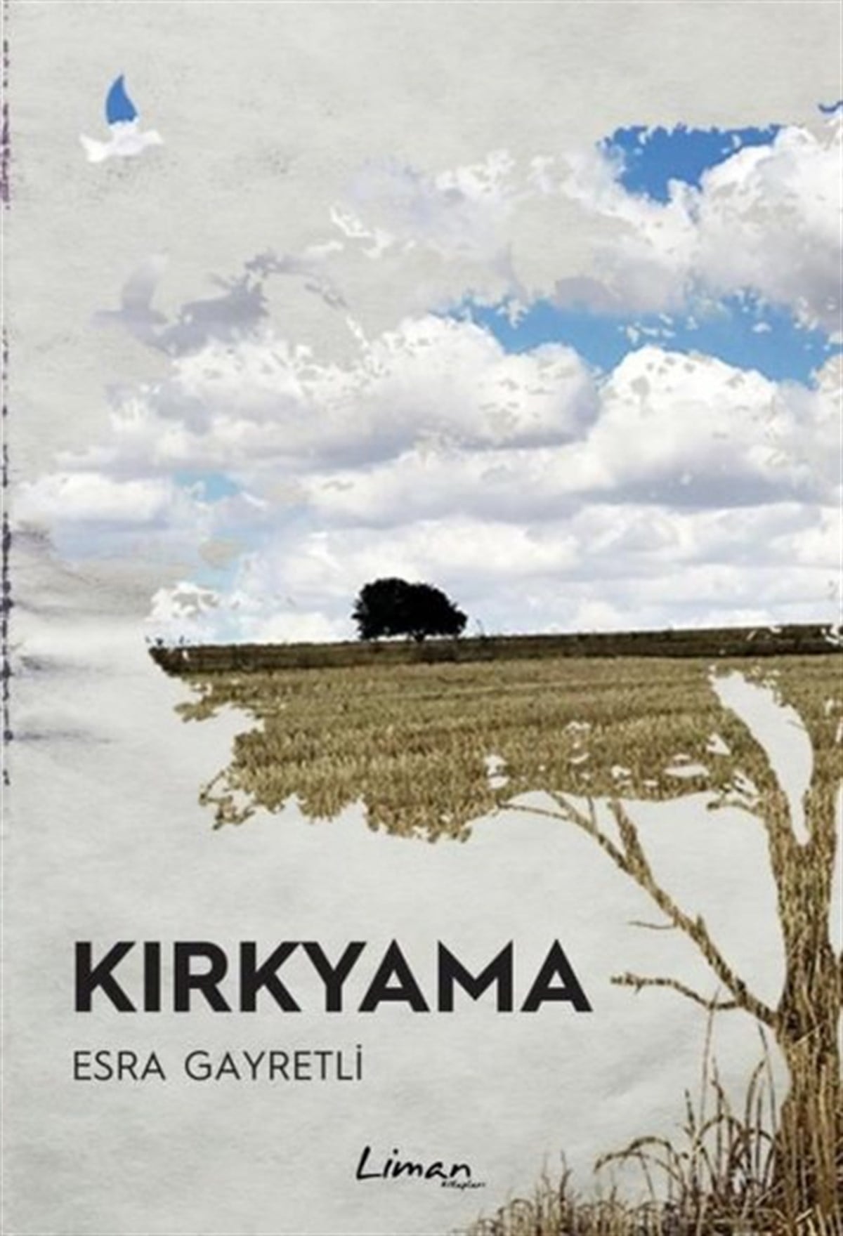 Esra GayretliDeneme KitaplarıKırkyama