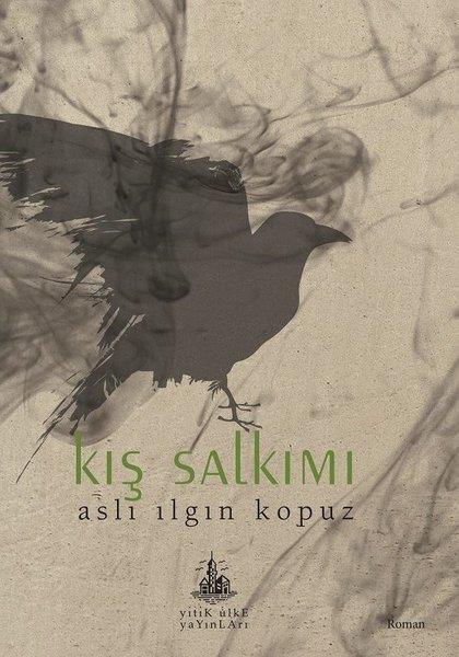 Aslı Ilgın KopuzTürkçe RomanlarKış Salkımı