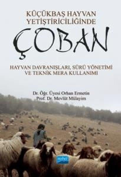 Mevlüt MülayimAkademik