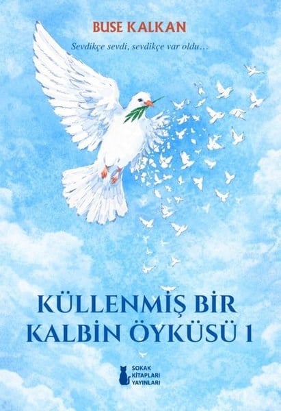 Buse KalkanDünya RomanKüllenmiş Bir Kalbin Öyküsü 1
