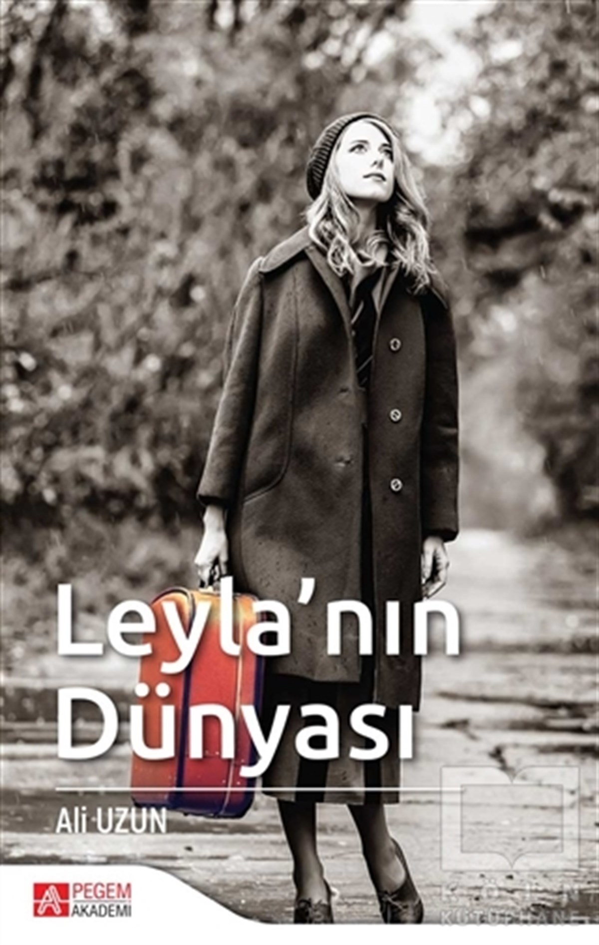 Ali UzunRomanLeyla'nın Dünyası