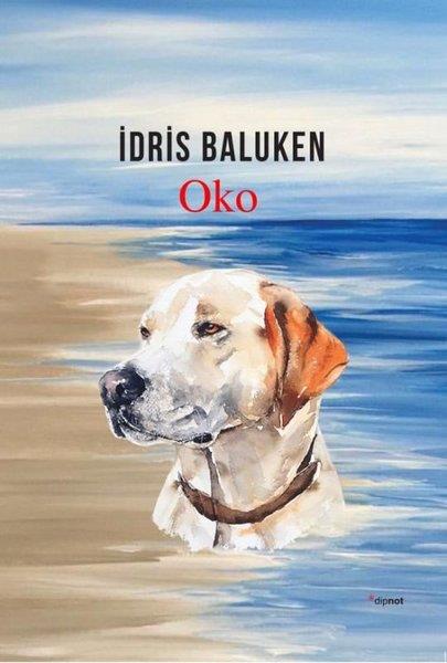 İdris BalukenTürkçe Romanlar