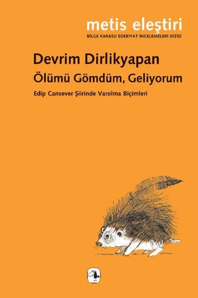 Devrim DirlikyapanEleştiri & Kuram & İnceleme Kitapları