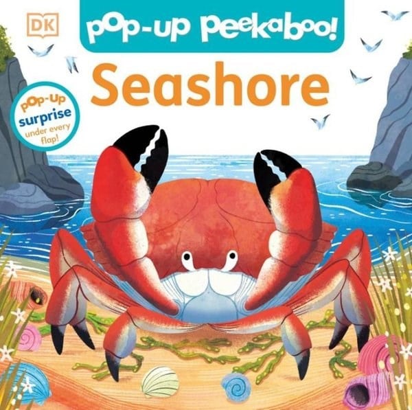 KolektifPreschoolPop-Up Peekaboo! Seashore