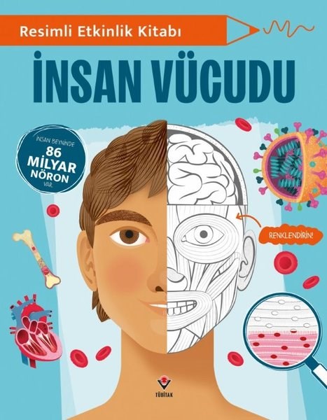 Rebecca FryÇocuk Bilim KitaplarıResimli Etkinlik Kitabı - İnsan Vücudu