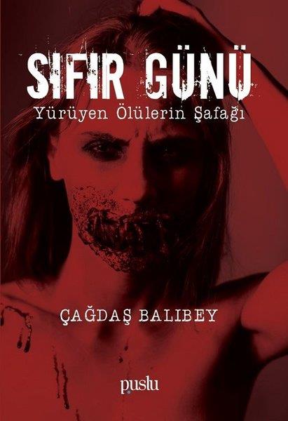 Çağdaş BalıbeyTürkçe RomanlarSıfır Günü