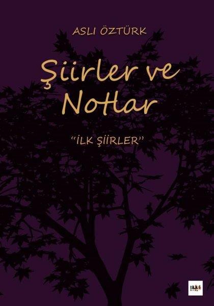 Aslı ÖztürkTürkçe Şiir Kitapları