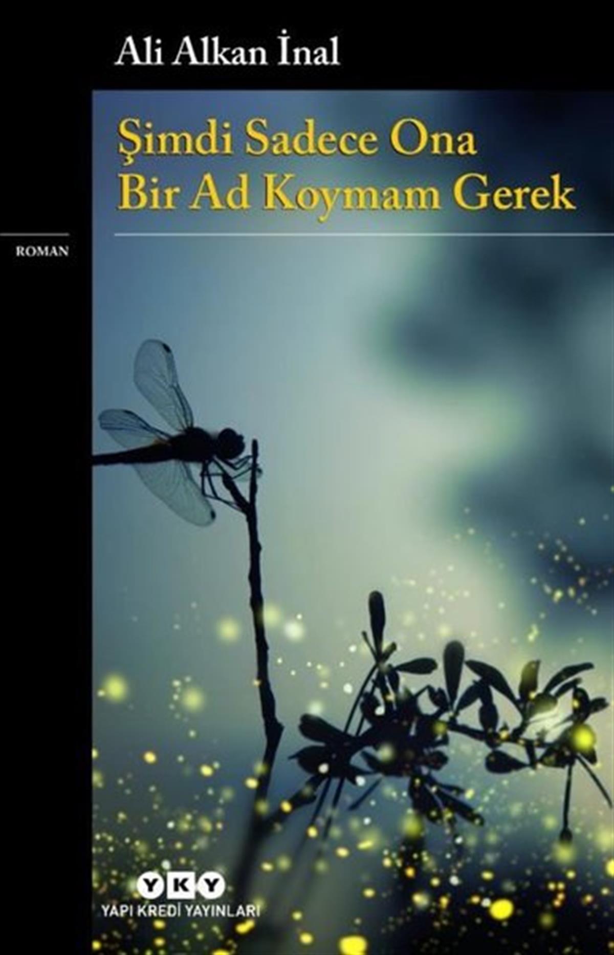 Ali Alkan İnalTürkiye RomanŞimdi Sadece Ona Bir Ad Koymam Gerek