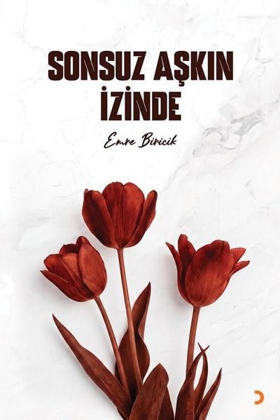 Emre BiricikDinSonsuz Aşkın İzinde