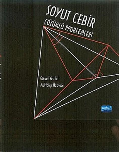 Gürsel YeşilotMatematikSoyut Cebir Çözümlü Problemleri