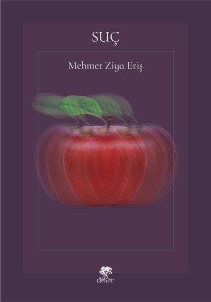 Mehmet Ziya ErişTürkçe RomanlarSuç