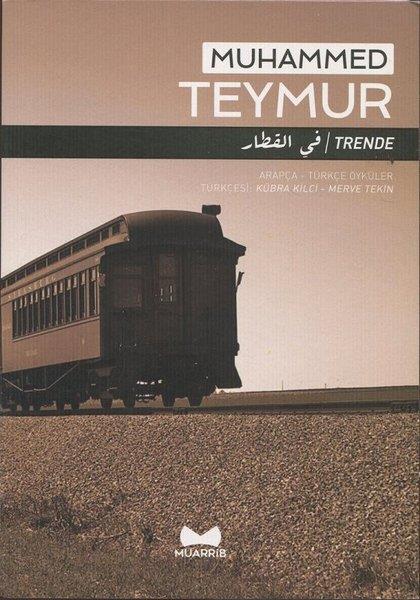 Muhammed TeymurTürkiye Roman