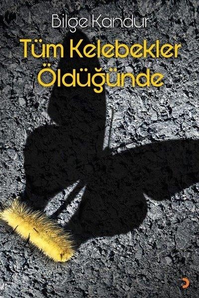 Bilge KandurTürkische RomaneTüm Kelebekler Öldüğünde