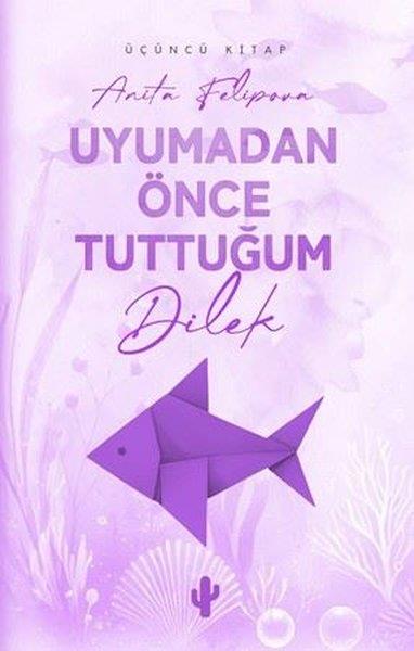 Anita FelipovaTürk RomaniUyumadan Önce Tuttuğum Dilek - Üçüncü Kitap