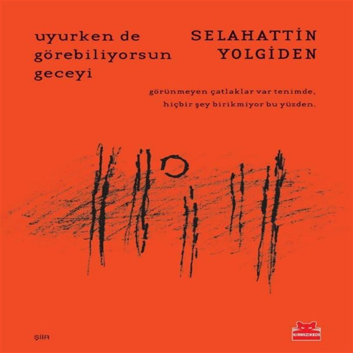 Selahattin YolgidenTürk ŞiiriUyurken de Görebiliyorsun Geceyi