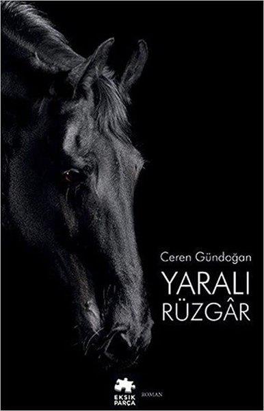 Ceren GündoğanTürkçe RomanlarYaralı Rüzgar