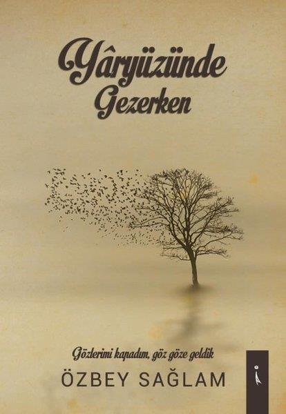 Özbey SağlamTürkçe Şiir KitaplarıYaryüzünde Gezerken