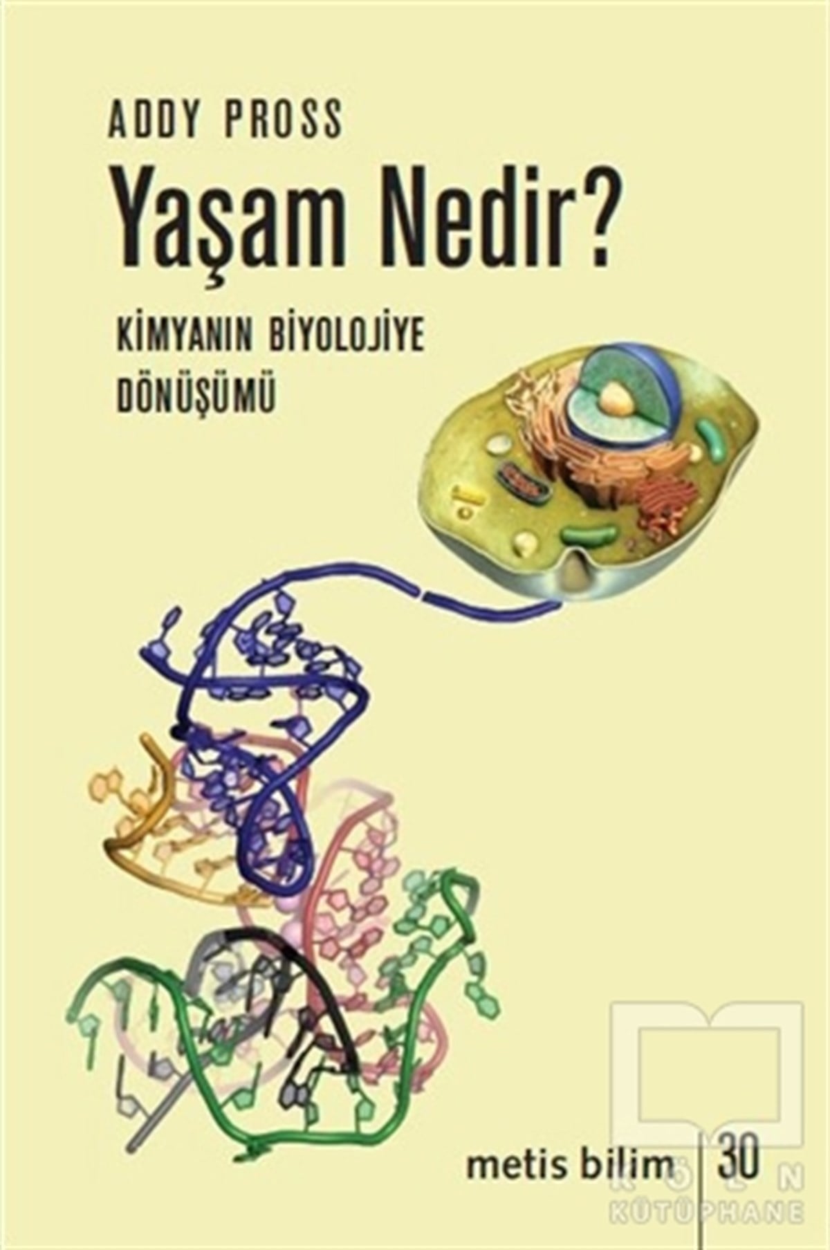 Addy ProssPopüler BilimYaşam Nedir?