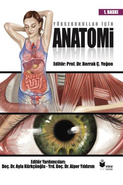 KolektifEğitimYüksekokullar İçin Anatomi
