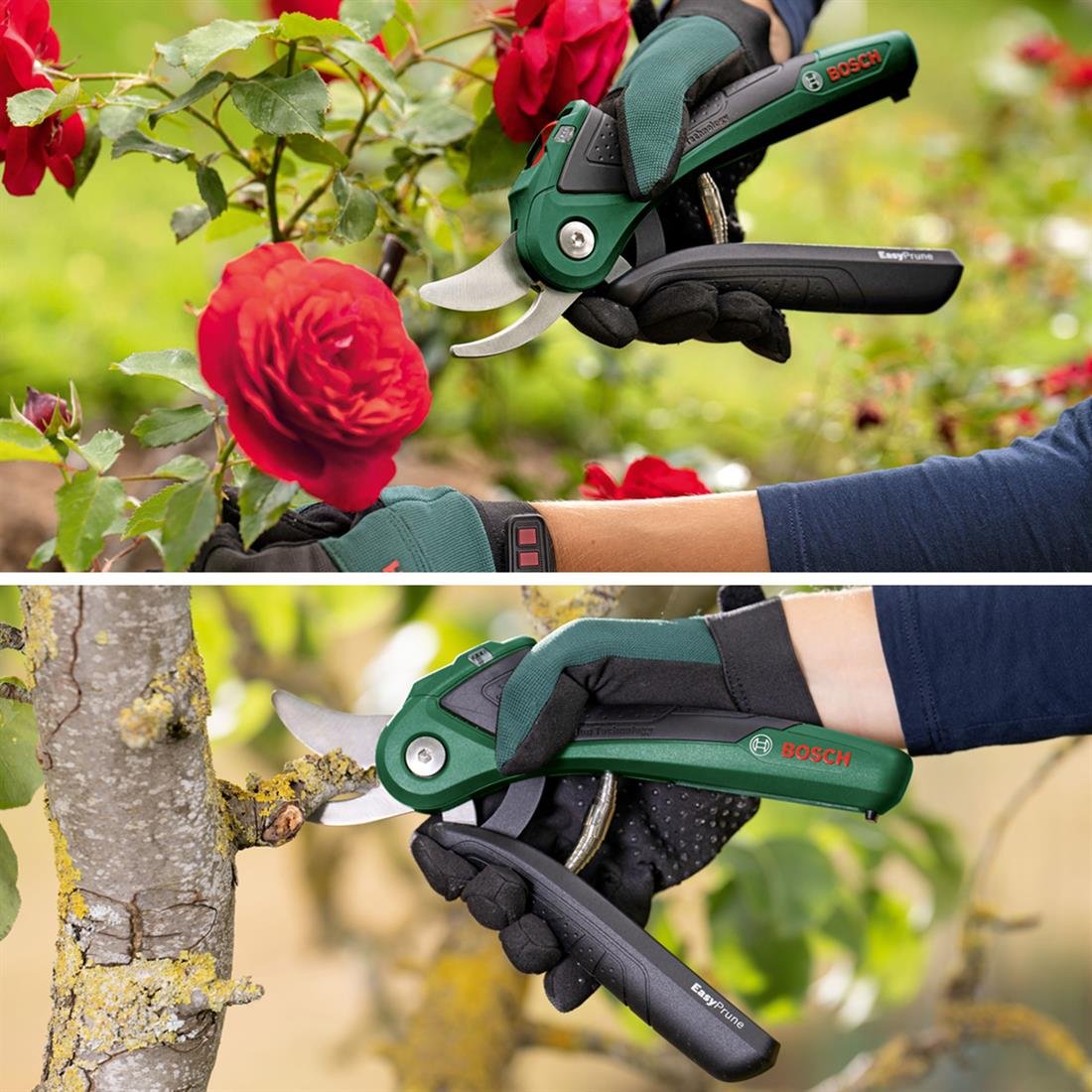 Bosch EasyPrune Budama Makası (Klasik Yeşil) - 06008B2102