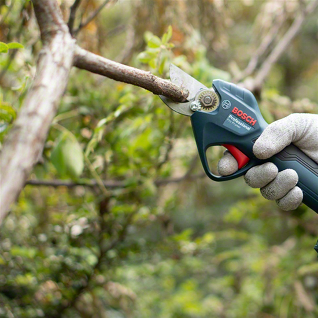 Bosch Professional Pro Pruner Akülü Bahçe Makası (Solo) - 06019K1020