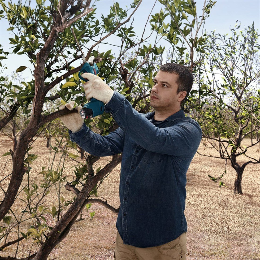 Bosch Professional Pro Pruner Akülü Bahçe Makası (Solo) - 06019K1020