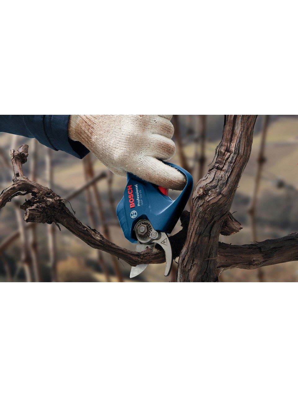 Bosch Professionel GGP 12V-25 (2x3 Ah) Akülü Budama Makası + Bosch Bez Takım Alet Çantası - 06008D8100