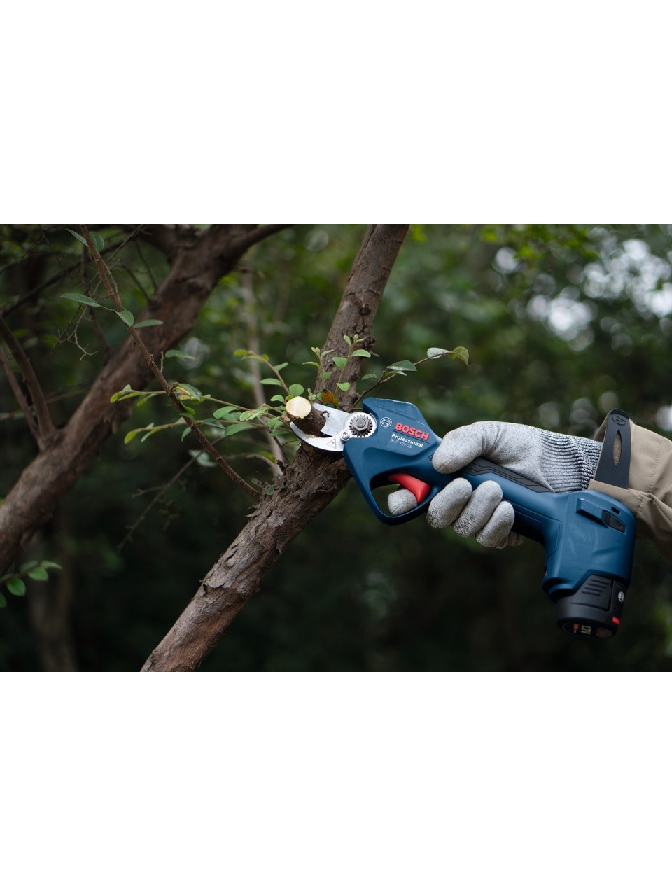 Bosch Professionel GGP 12V-25 (2x3 Ah) Akülü Budama Makası + Bosch Bez Takım Alet Çantası - 06008D8100