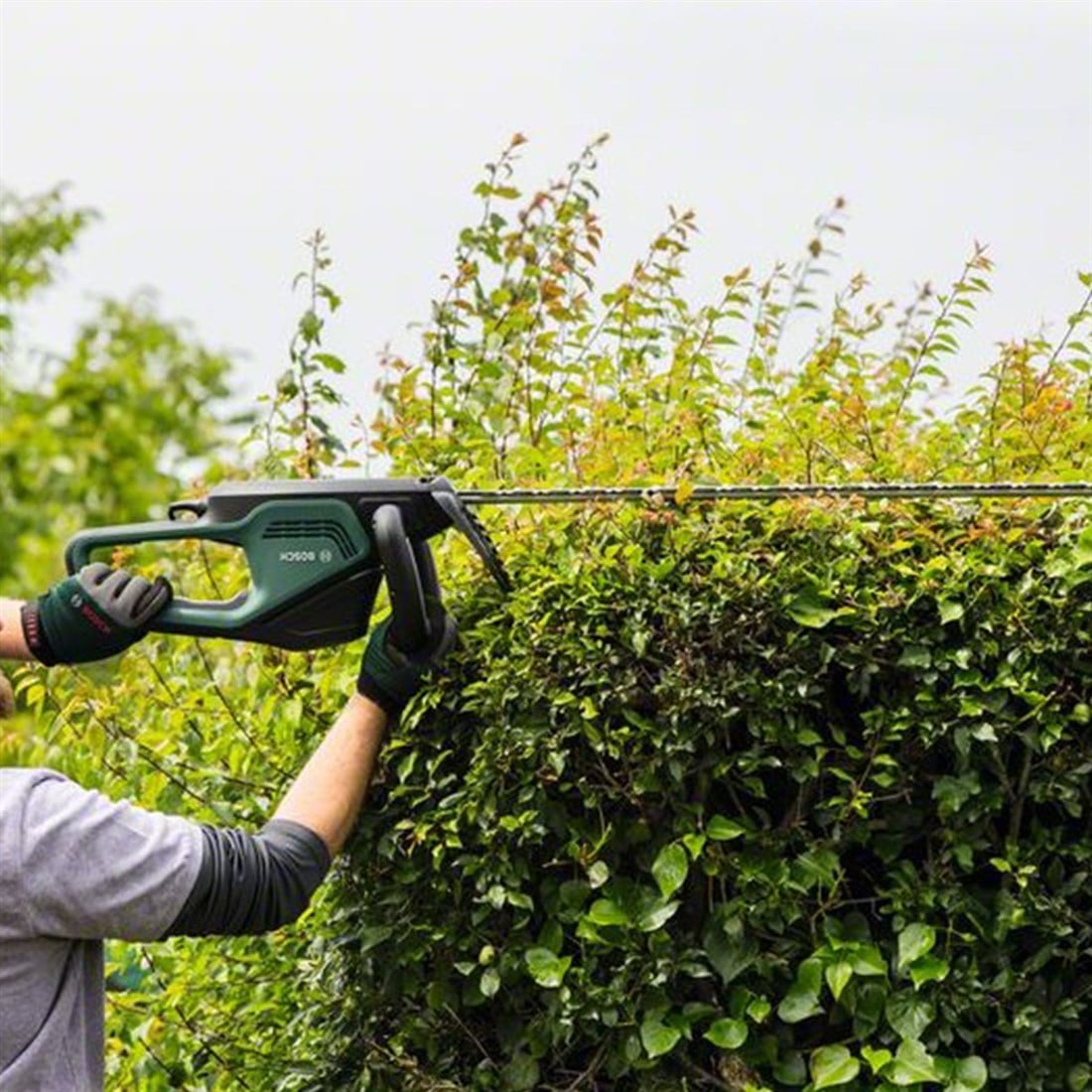 Bosch Universal HedgeCut 50 Çit Budama Makinesi - 06008c0500