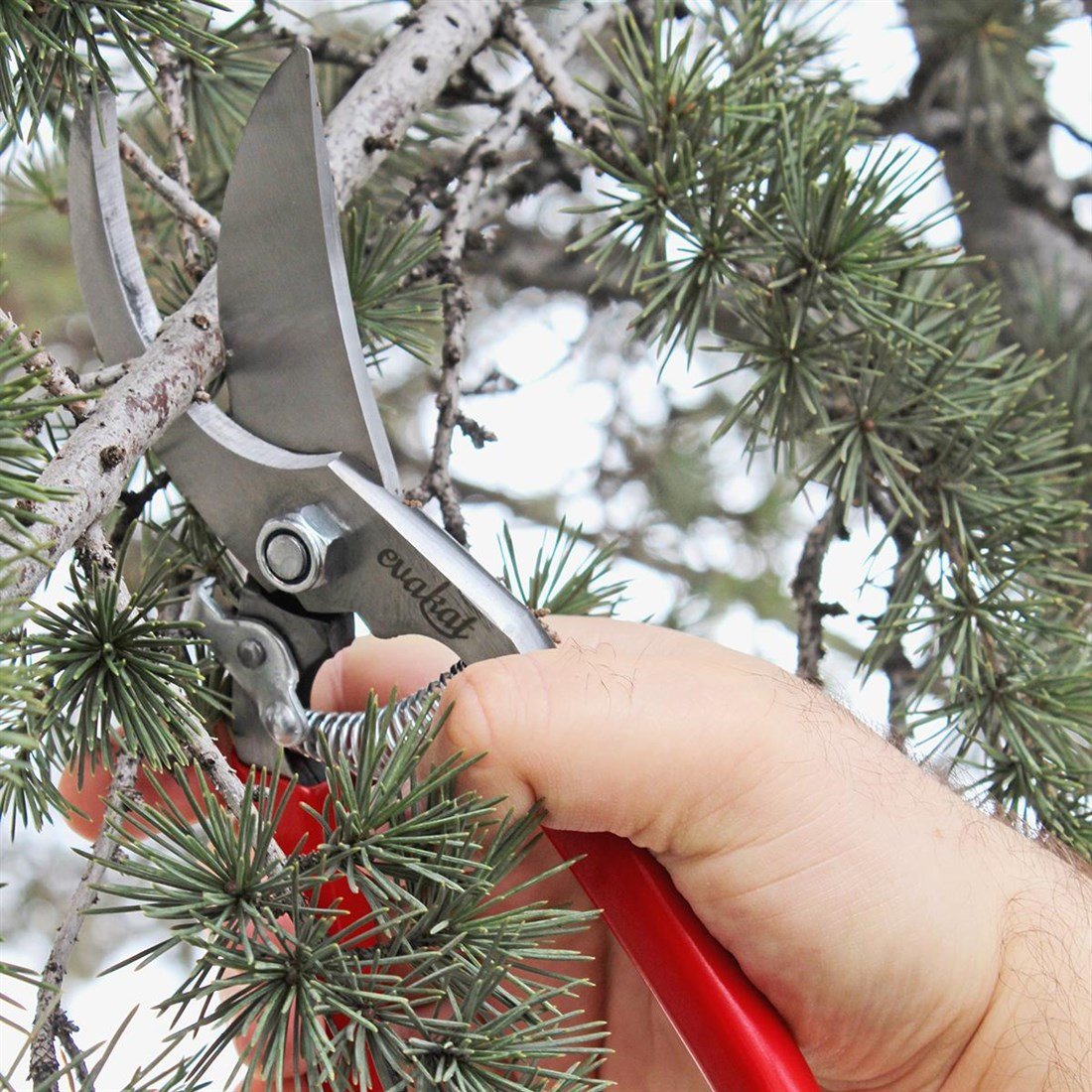 Evakat KT -1 Çelik Budama Makası 