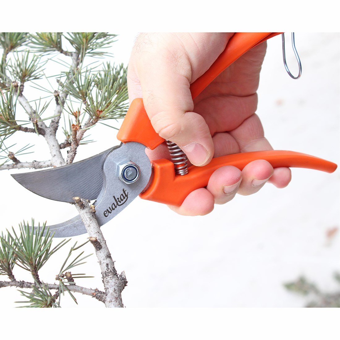 Evakat KT -2 Çelik Budama Makası Plastik Saplı 