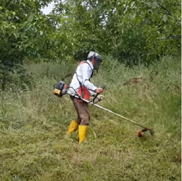 Palmera CG520 Euro5 Motorlu Yan Tırpan - 110873