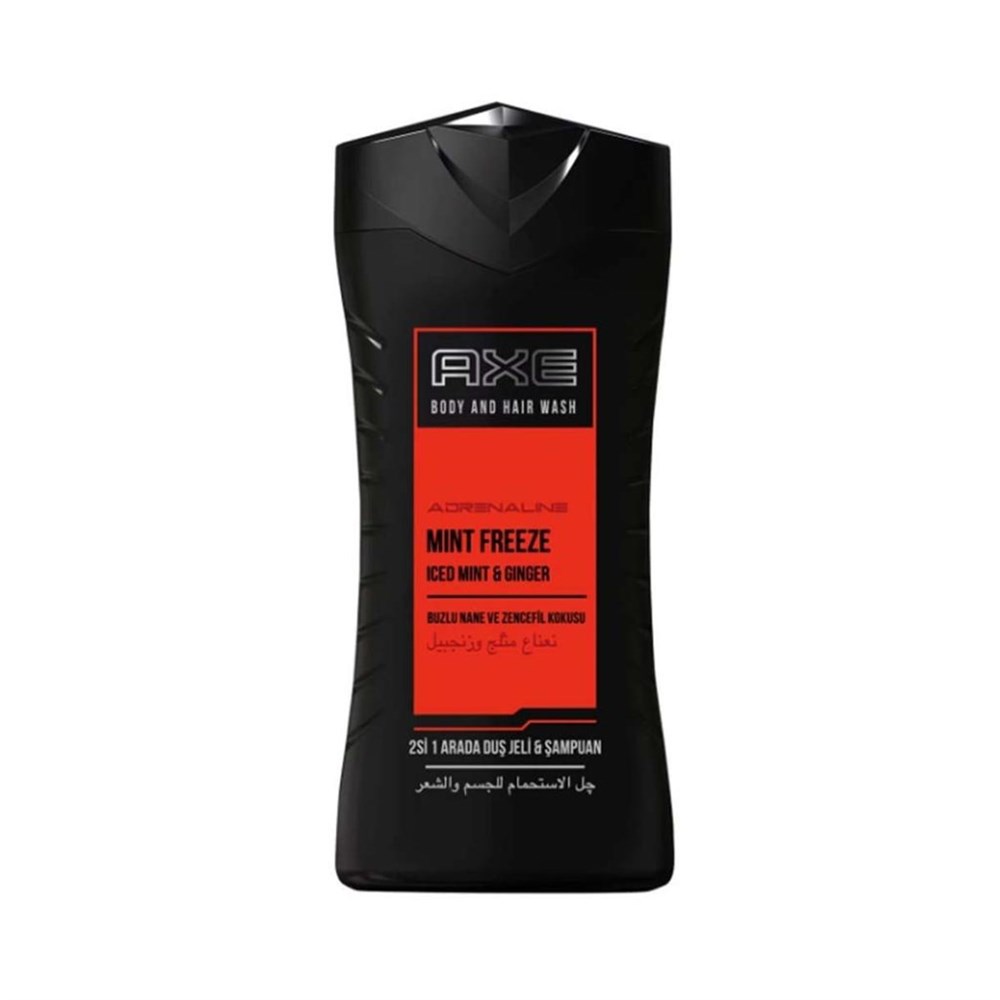 Axe Erkekler İçin 2'Si 1 Arada Duş Jeli & Şampuan - Buzlu Nane Ve Zencefil 250 ML