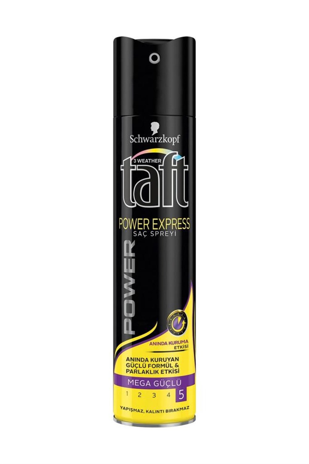 Taft Saç Spreyi Power Express 250 ML