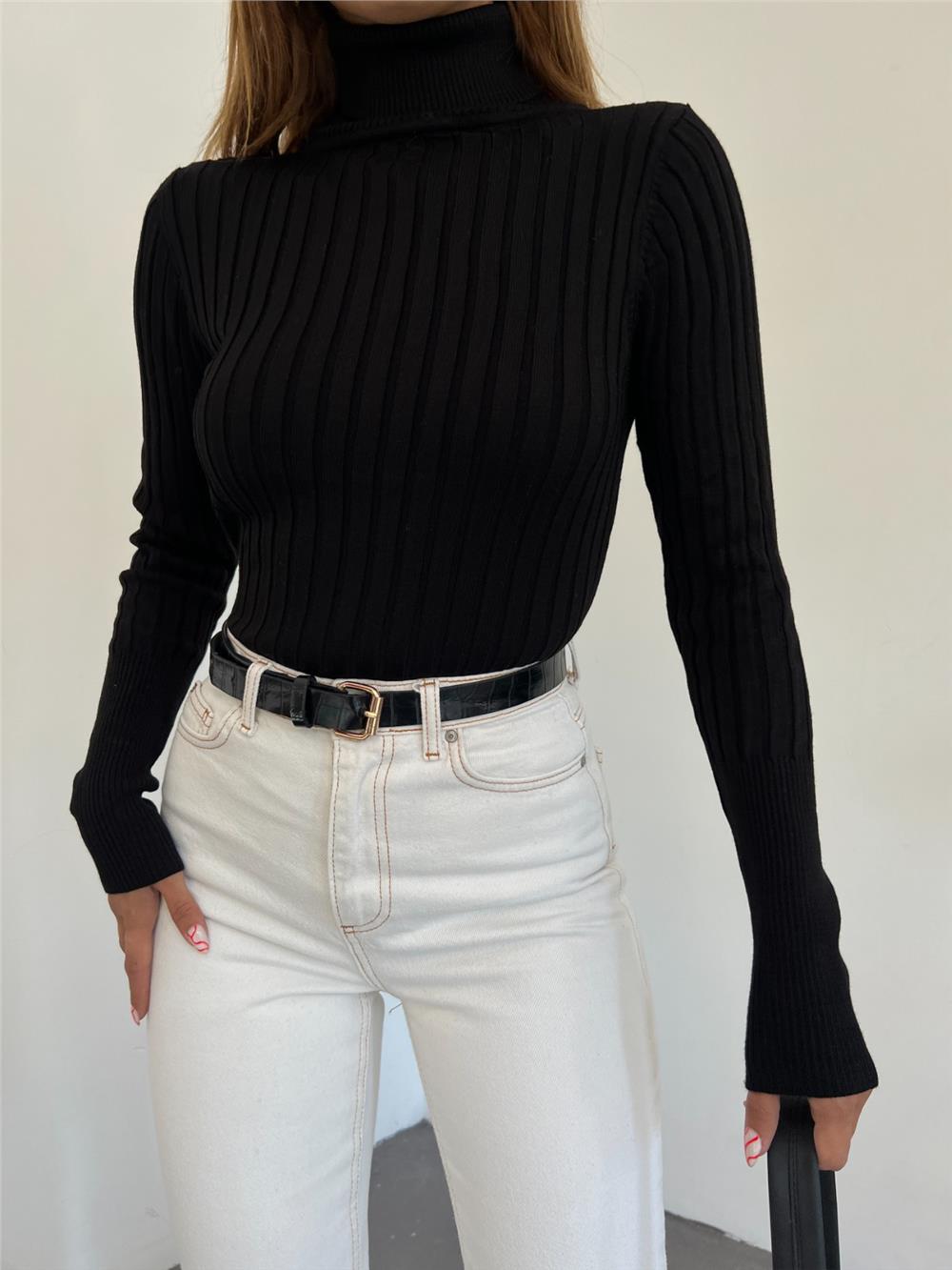 Turtleneck Ribbed Knitwear Sweater -Black-109-9299-R01