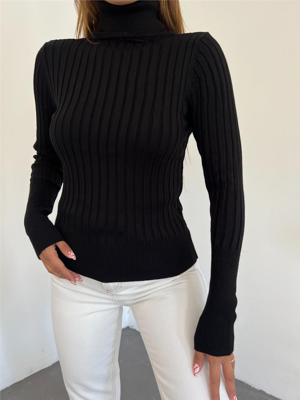 Turtleneck Ribbed Knitwear Sweater -Black-109-9299-R01