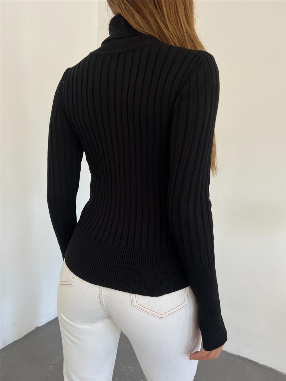 Turtleneck Ribbed Knitwear Sweater -Black-109-9299-R01