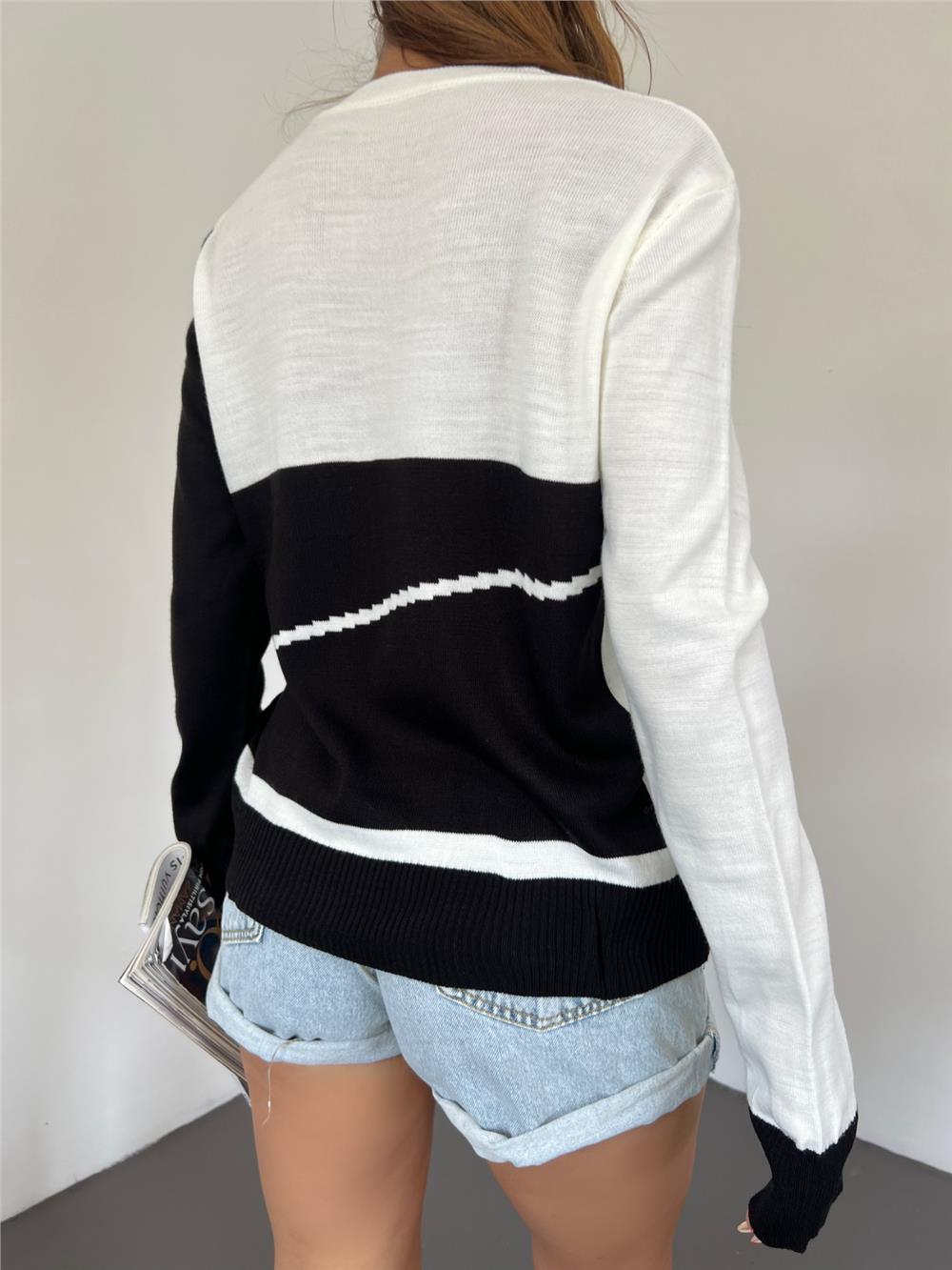 Crew Neck Fine Knitwear Sweater -Black-109-1022-R01