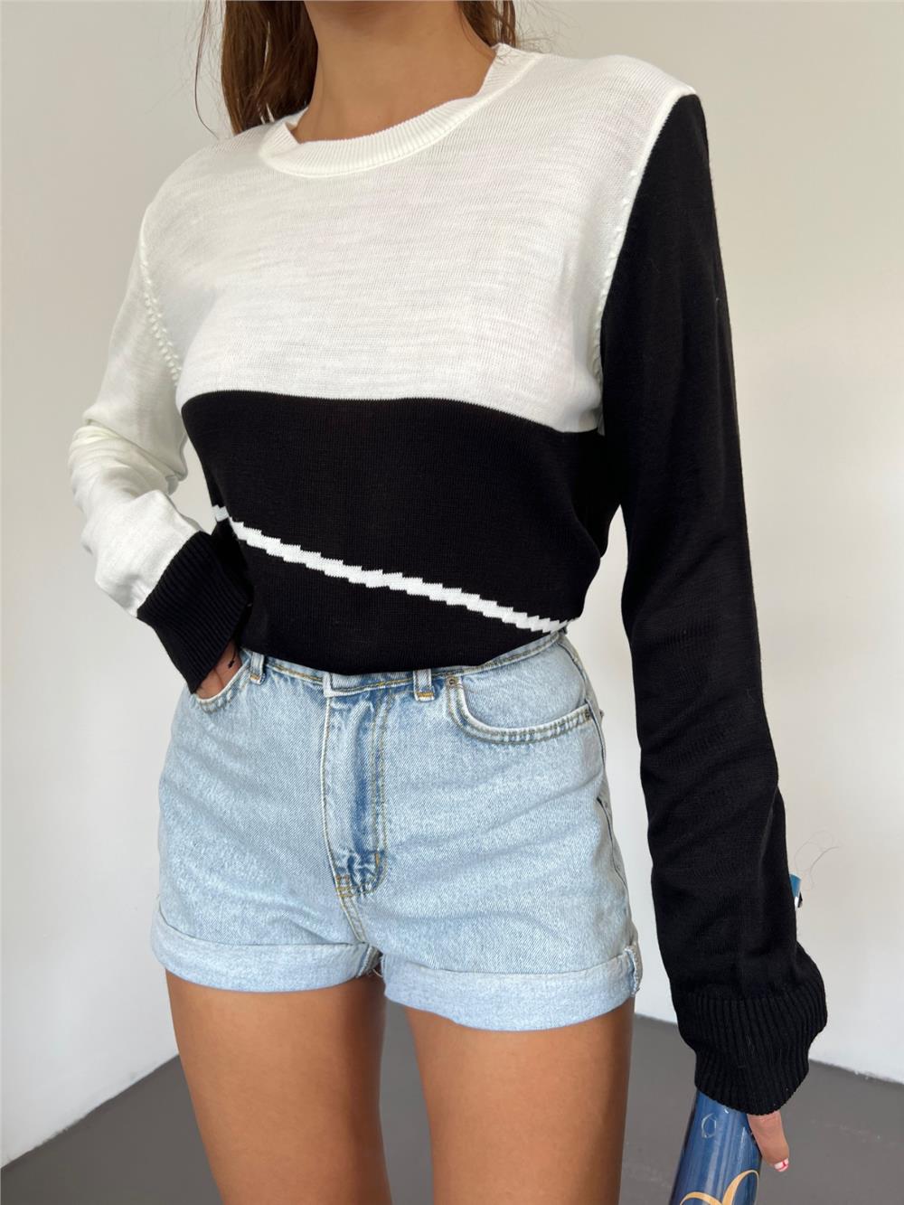 Crew Neck Fine Knitwear Sweater -Black-109-1022-R01