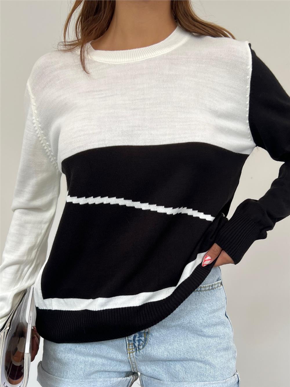 Crew Neck Fine Knitwear Sweater -Black-109-1022-R01