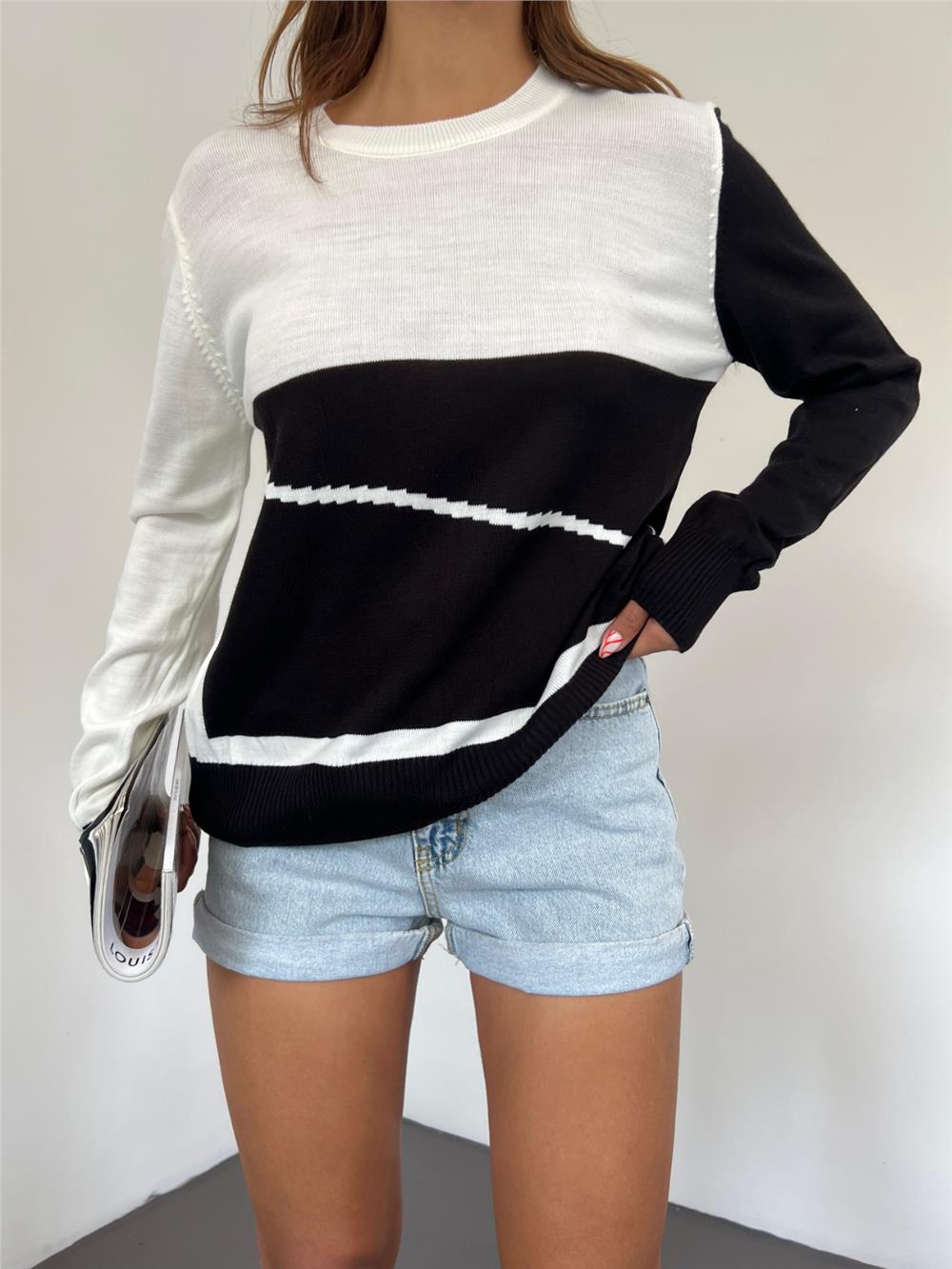 Crew Neck Fine Knitwear Sweater -Black-109-1022-R01