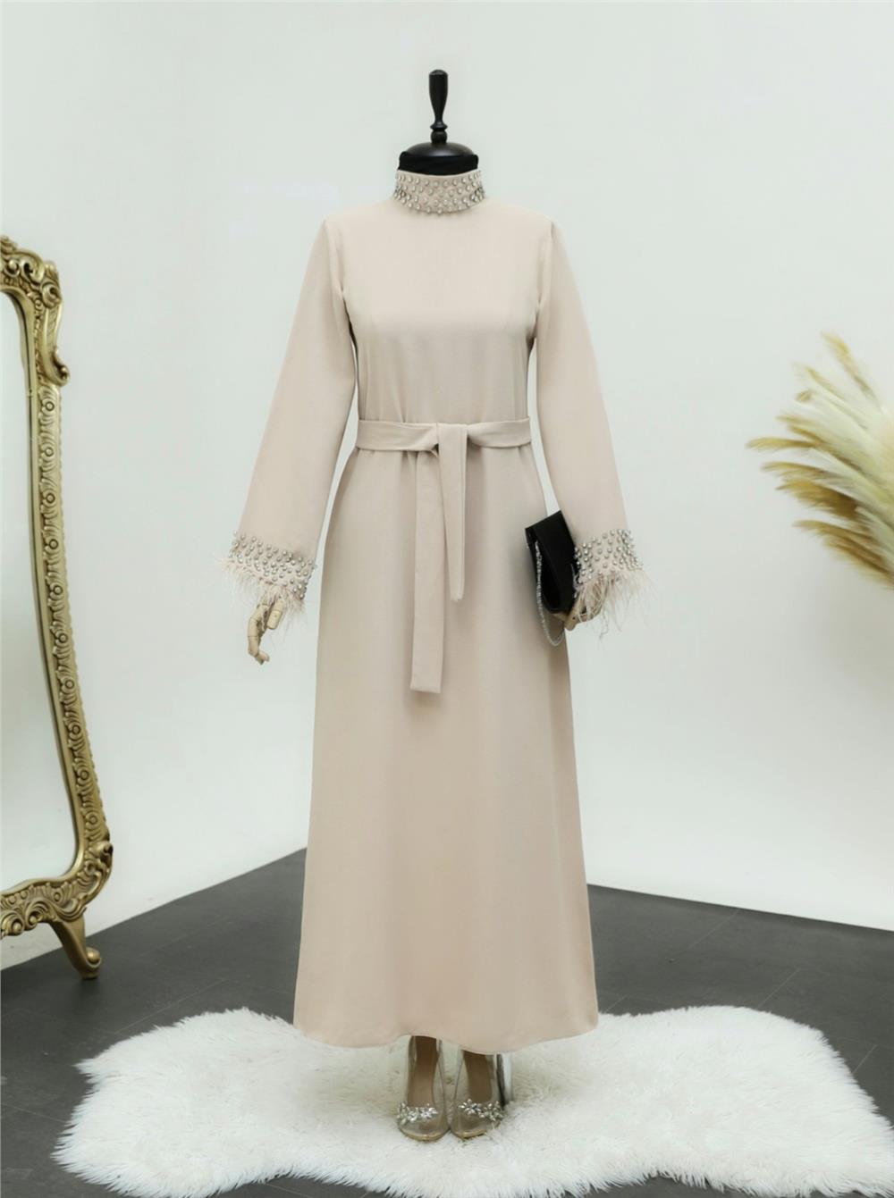 Lace-Up Dress with Stoned Feather Detail on Collar and Sleeves -Beige-316-4431-R56