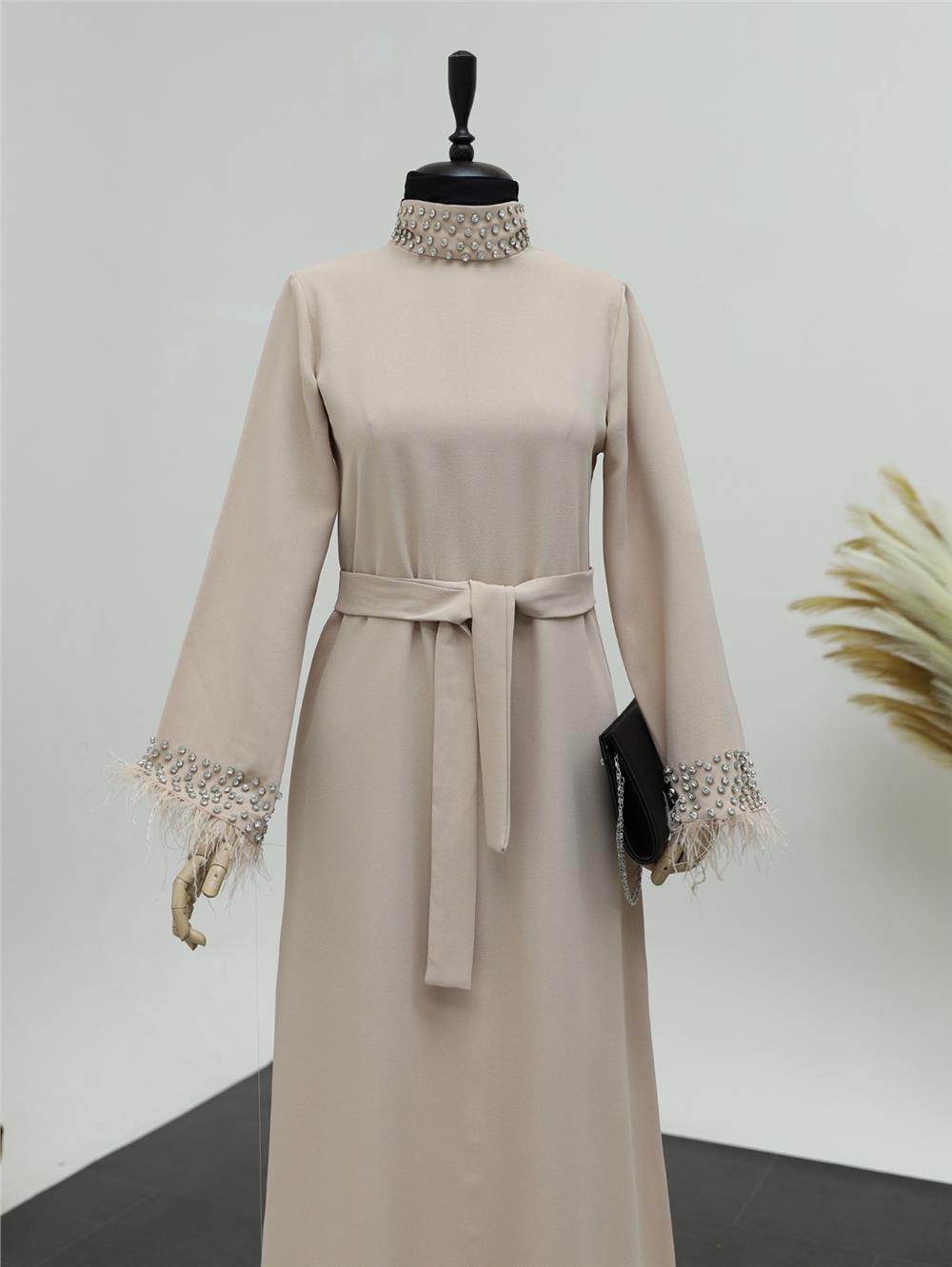 Lace-Up Dress with Stoned Feather Detail on Collar and Sleeves -Beige-316-4431-R56
