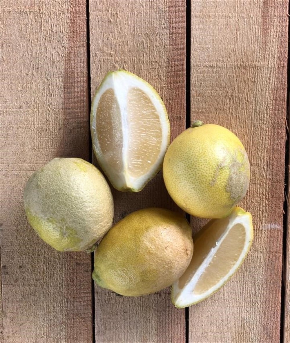 B Kalite Limon 7 KG   