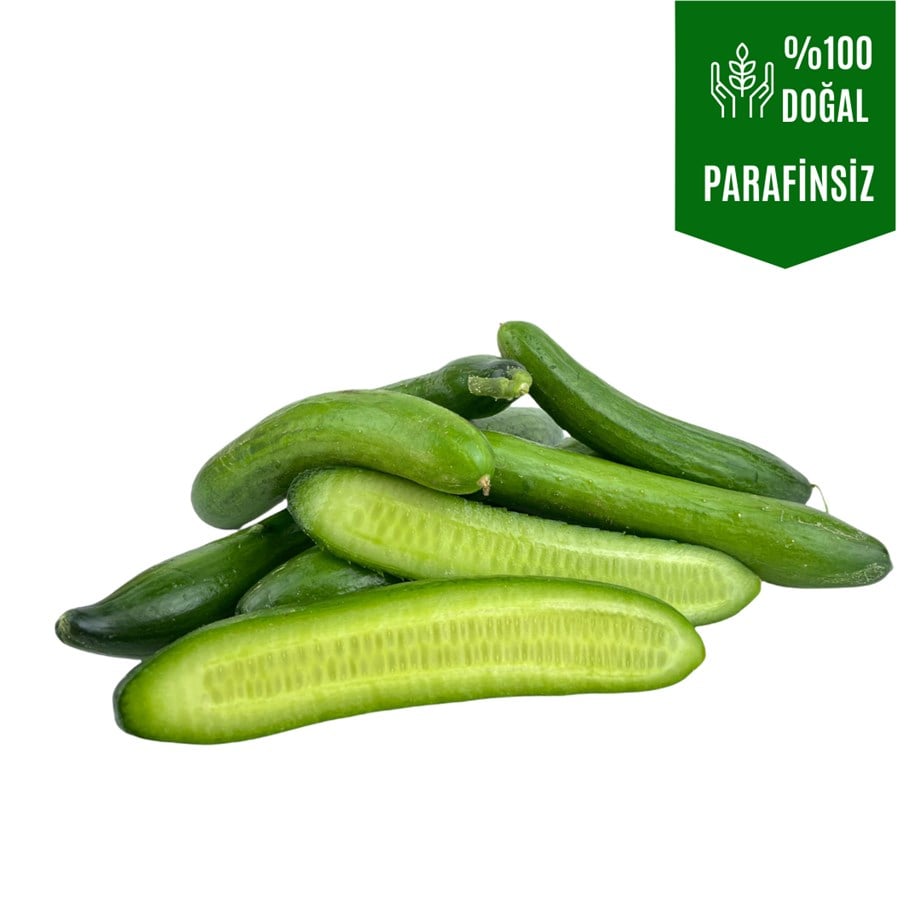 Salatalık