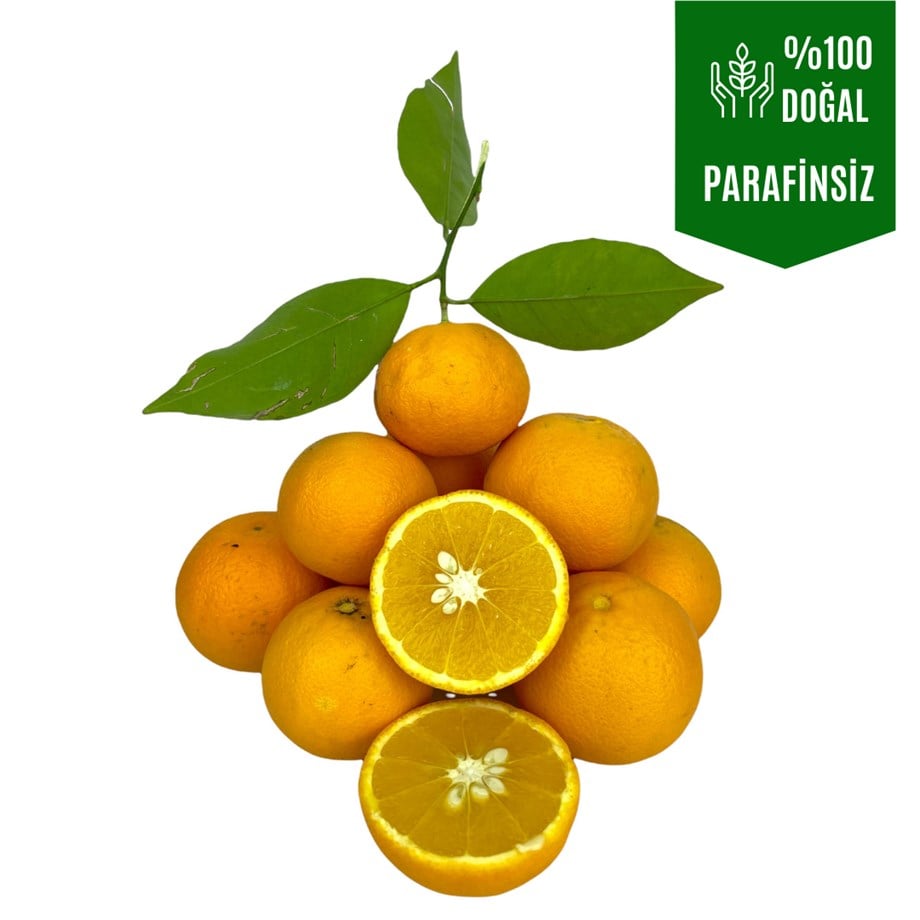 Şeker Portakalı 1 Kg