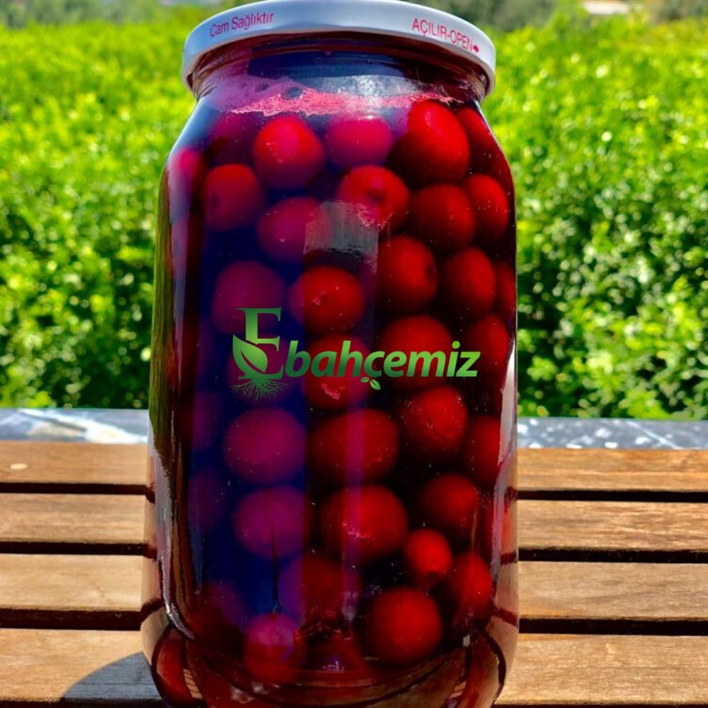 Vişne Komposto 1 LT