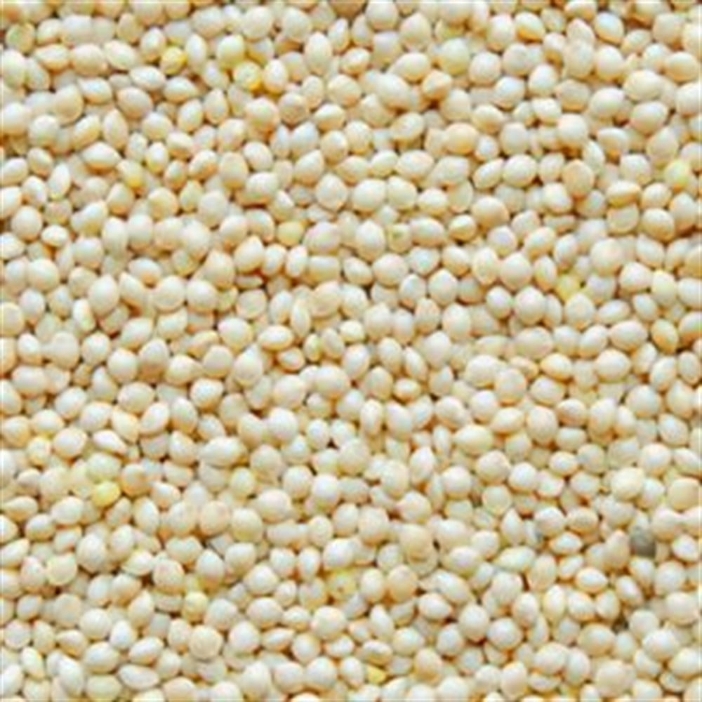 Ak Darı 750 gr.