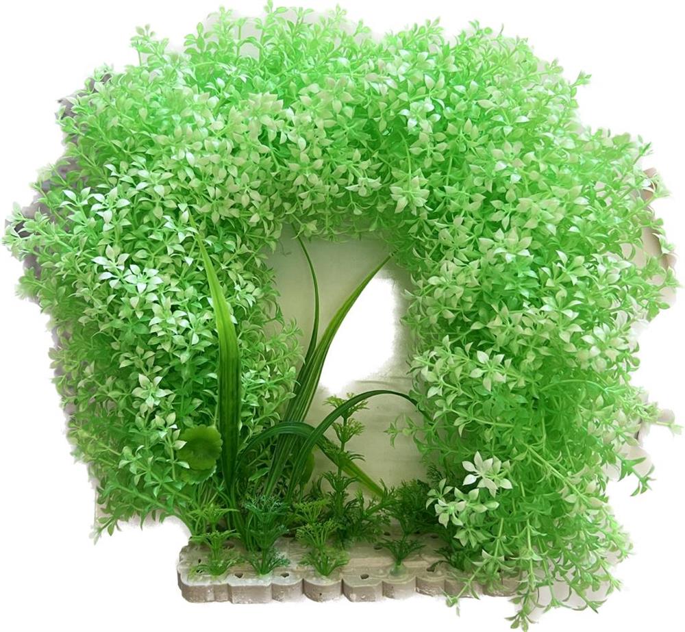 COLI2115 Plastik Bitki 