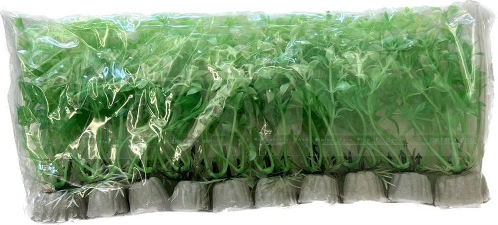 COLI62680-15 Plastik Bitki 10 lu